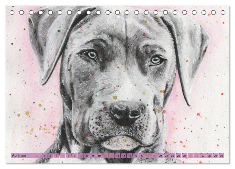 Produktbild: Hundeportr&auml;ts in Aquarell (Tischkalender 2026 DIN A5 quer), CALVENDO Monatskalender