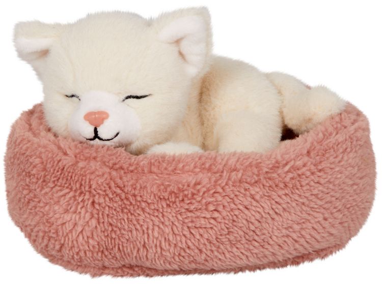 Produktbild: Schlafende Katze Penny im Korb