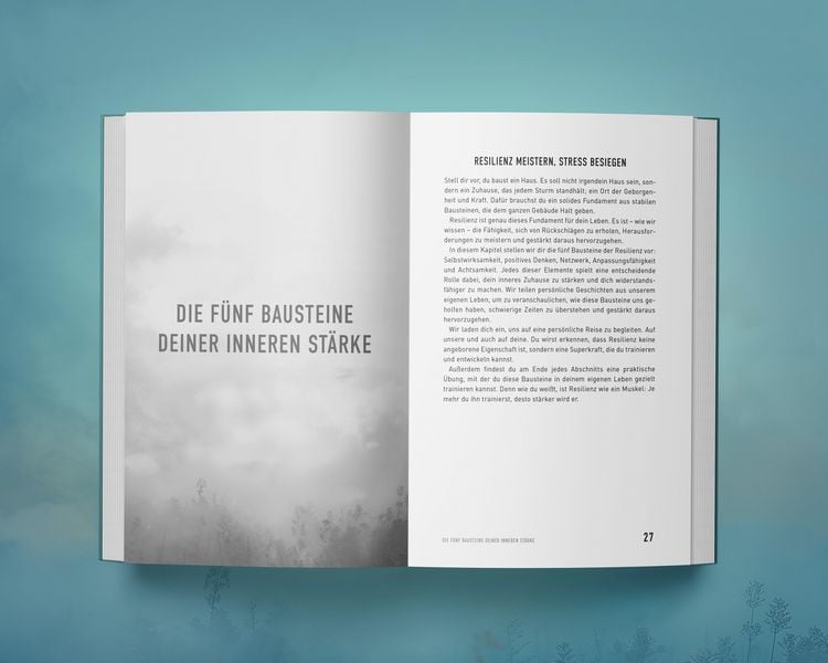 Produktbild: St&auml;rker als der Stress