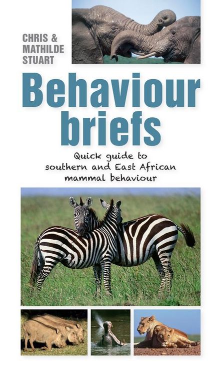 Produktbild: Behaviour Briefs