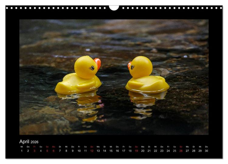 Produktbild: Enten-Rennen (Wandkalender 2026 DIN A3 quer), CALVENDO Monatskalender