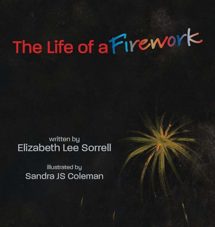 Produktbild: The Life of a Firework