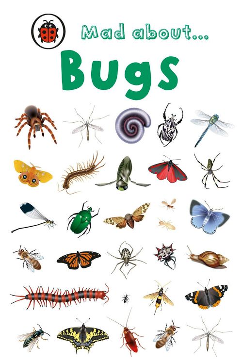 Produktbild: Mad About Bugs