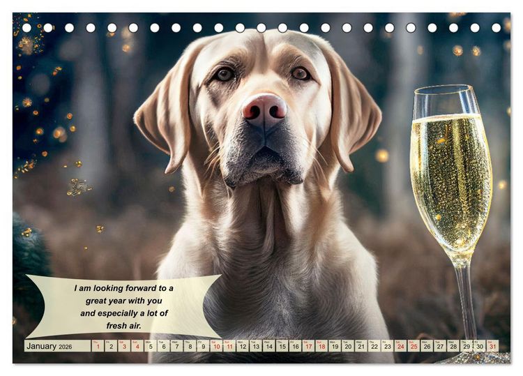 Produktbild: Great fun for Labrador lovers (Desk Calendar 2026 DIN A5 landscape), CALVENDO 12 Month DeskCalendar