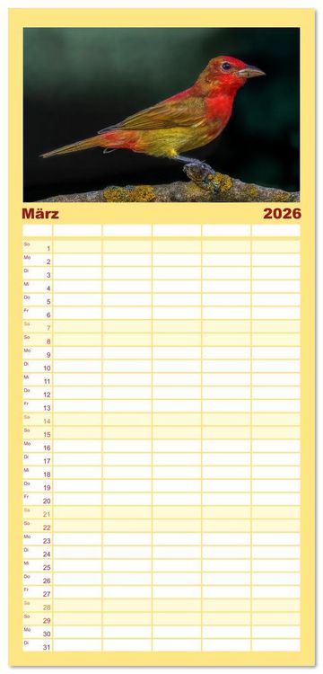 Produktbild: Familienplaner 2026 - Tropische V&ouml;gel Costa Ricas mit 5 Spalten (Wandkalender, 21 x 45 cm) CALVENDO