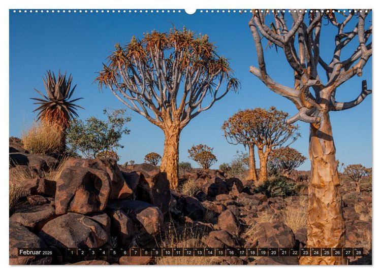 Produktbild: Zwischen Namib und Kalahari (Wandkalender 2026 DIN A2 quer), CALVENDO Monatskalender