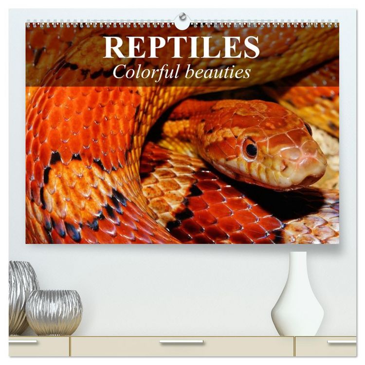 Produktbild: Reptiles Colorful beauties (High Quality Premium Wall Calendar 2026 DIN A2 landscape),CALVENDO 12 Month Wall Calendar