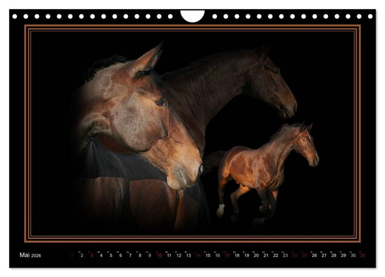 Produktbild: Traumpferde-ART-Collection (Wandkalender 2026 DIN A4 quer), CALVENDO Monatskalender