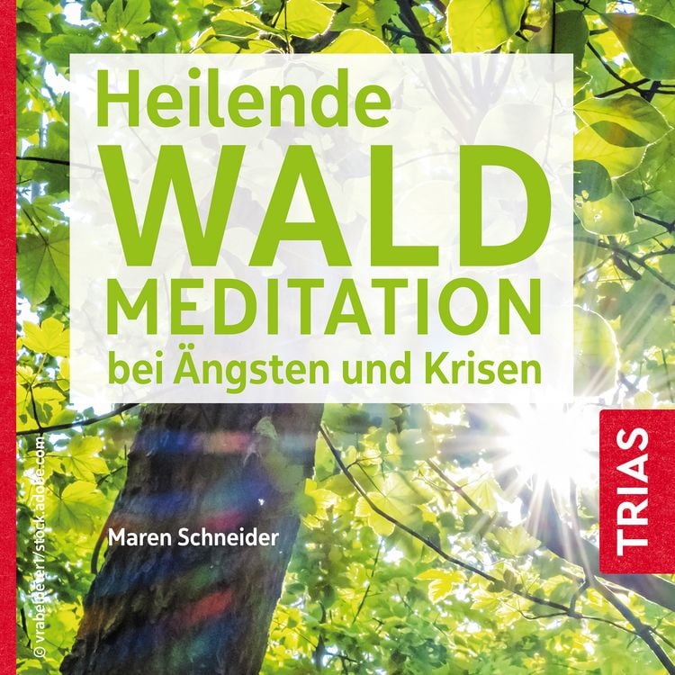 Produktbild: Heilende Waldmeditation bei &Auml;ngsten und Krisen