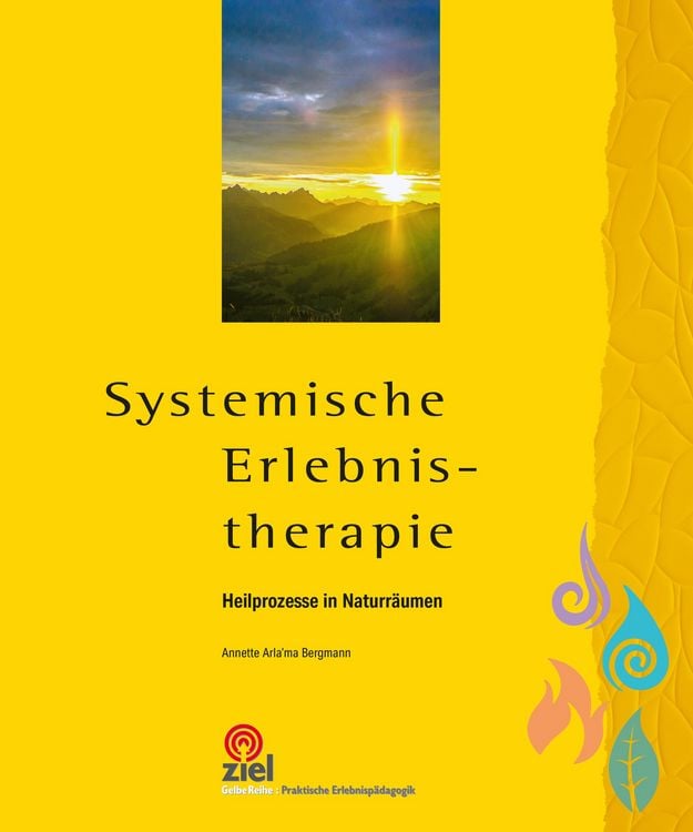 Produktbild: Systemische Erlebnistherapie