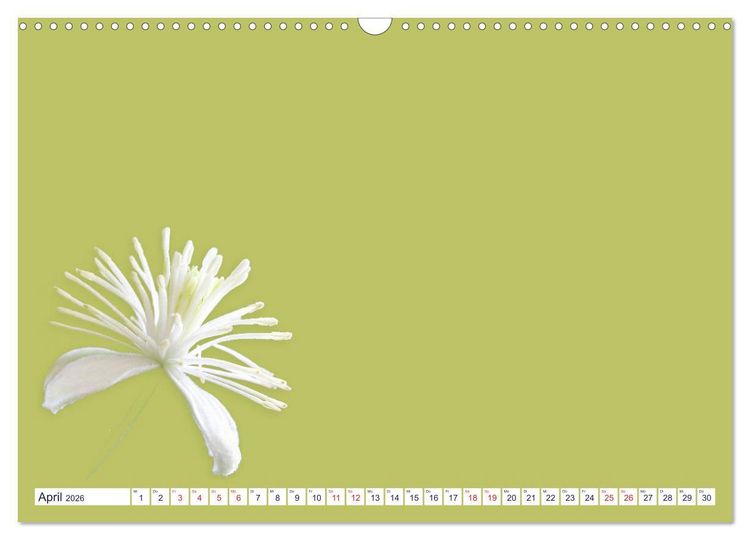 Produktbild: DIY POESIE - BASTELKALENDER (Wandkalender 2026 DIN A3 quer), CALVENDO Monatskalender