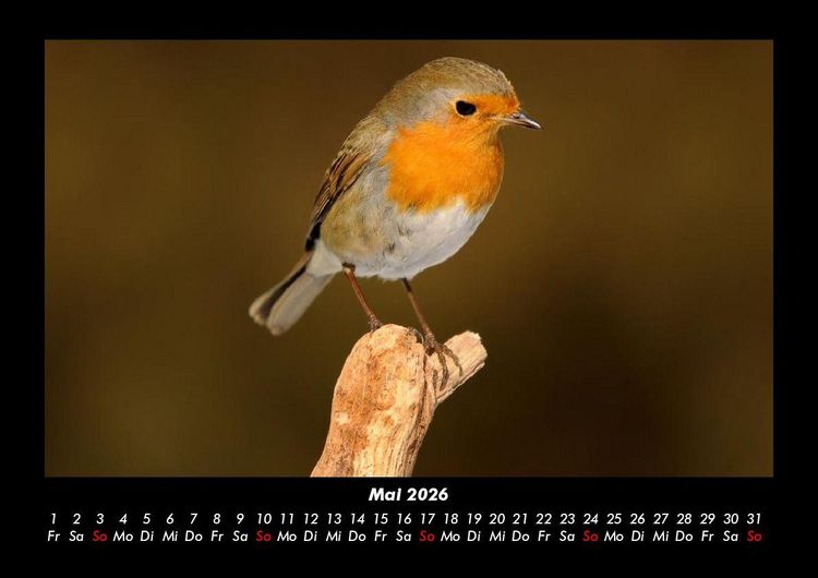 Produktbild: Bilder aus der Natur 2026 Fotokalender DIN A3
