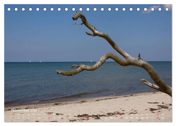 Produktbild: Anblicke und Ausblicke auf Fischland Dar&szlig; (Tischkalender 2026 DIN A5 quer), CALVENDO Monatskalender