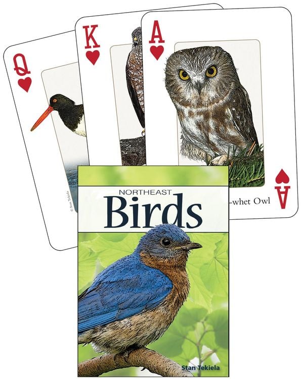 Produktbild: Birds of the Northeast Playing Cards