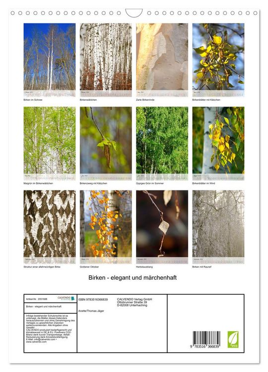Produktbild: Birken - elegant und m&auml;rchenhaft (Wandkalender 2026 DIN A3 hoch), CALVENDO Monatskalender