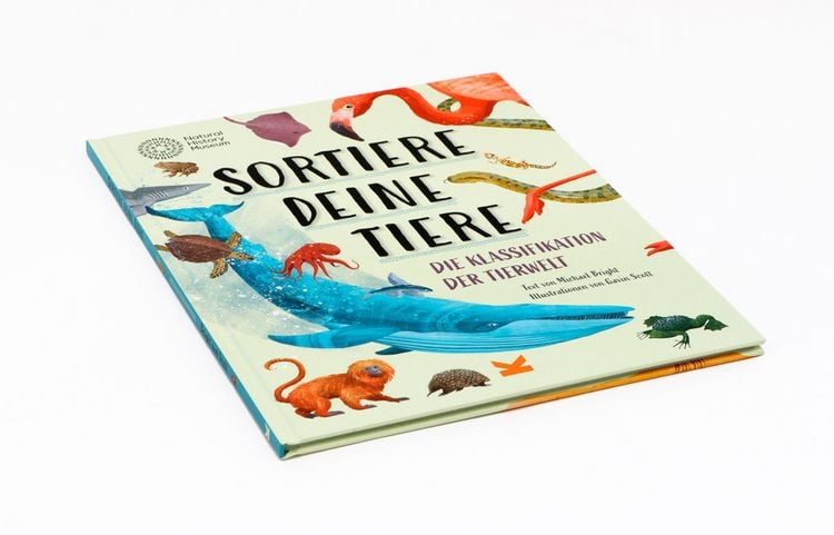 Produktbild: Sortiere deine Tiere