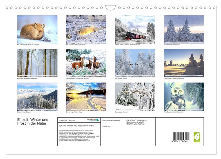 Produktbild: Eiszeit. Winter und Frost in der Natur (Wandkalender 2026 DIN A3 quer), CALVENDO Monatskalender