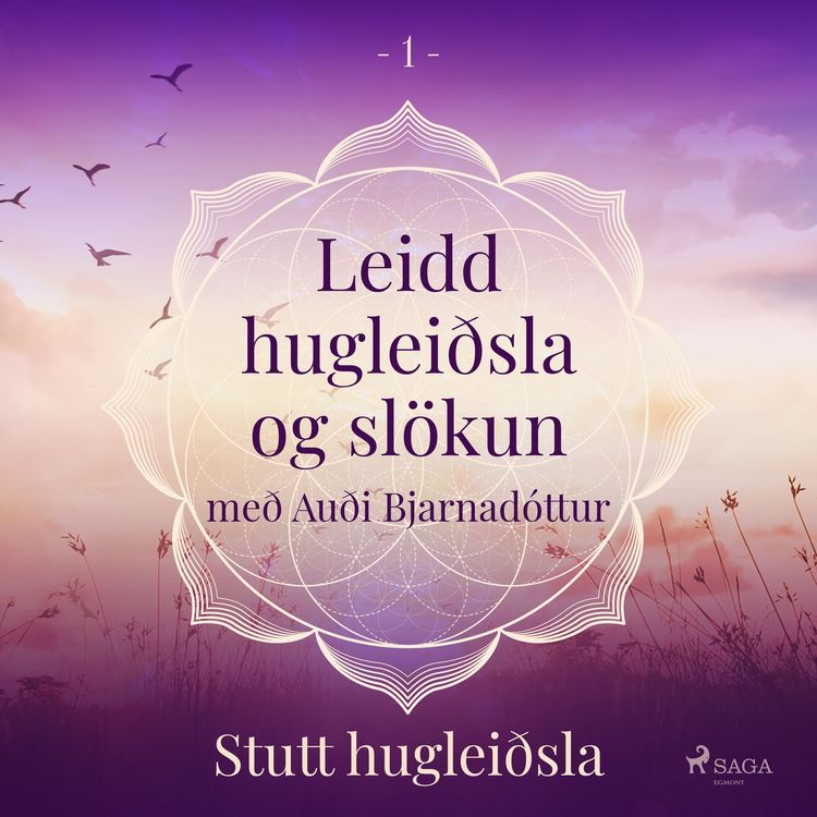 Produktbild: Leidd huglei&eth;sla og sl&ouml;kun - Stutt huglei&eth;sla