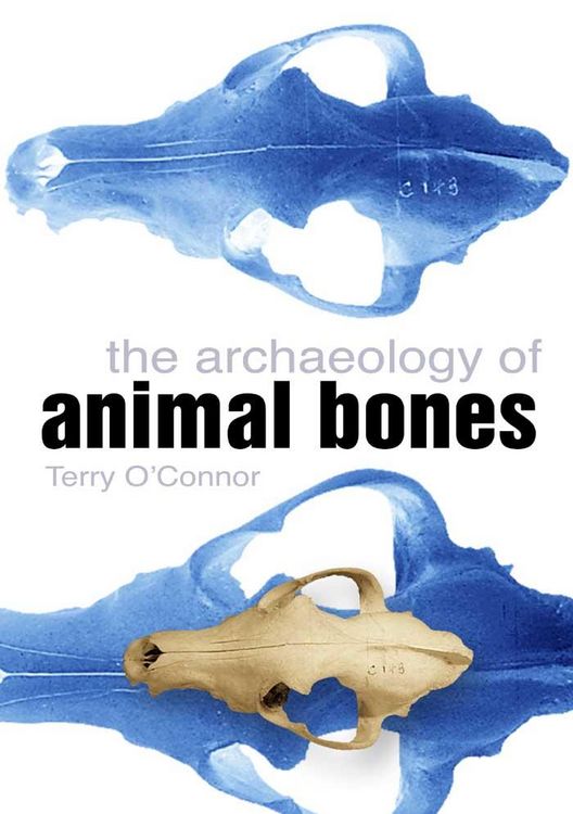 Produktbild: Archaeology of Animal Bones