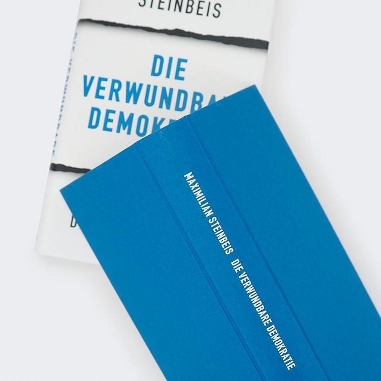 Produktbild: Die verwundbare Demokratie