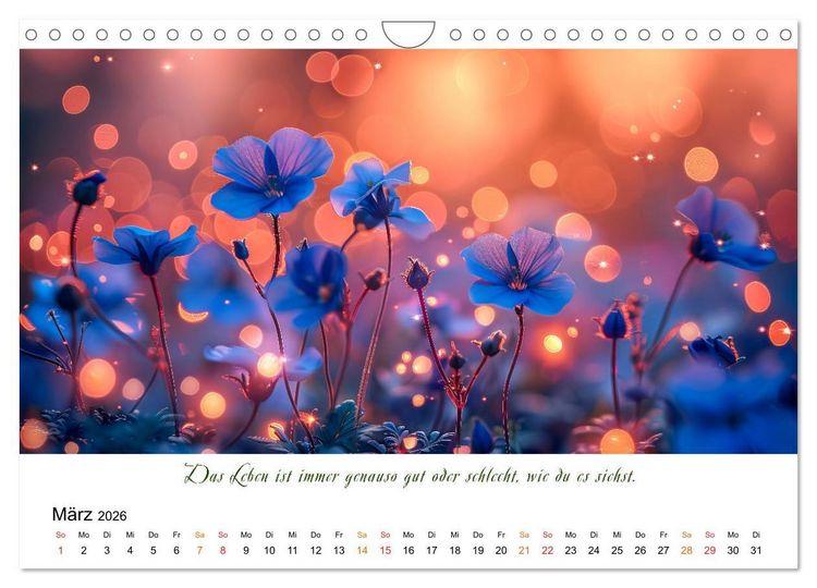 Produktbild: Freu Dich Motivations-Kalender (Wandkalender 2026 DIN A4 quer), CALVENDO Monatskalender