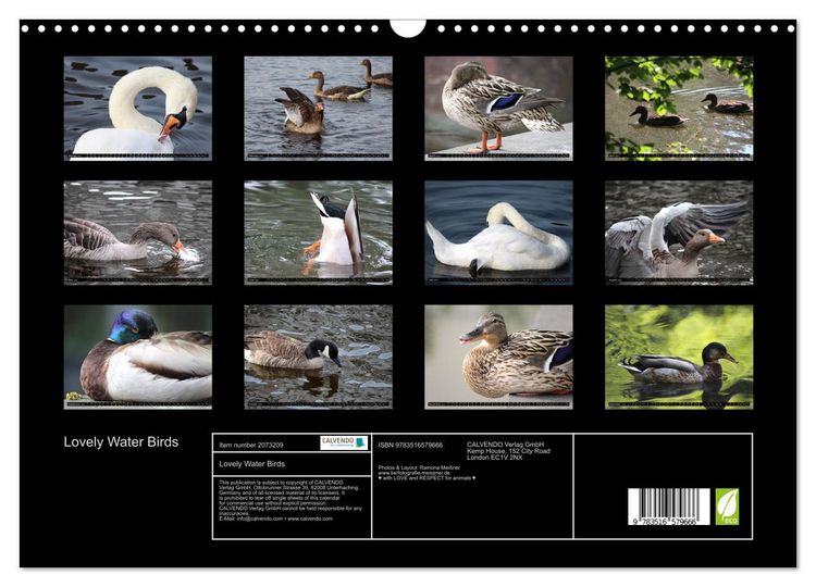 Produktbild: Lovely Water Birds (Wall Calendar 2026 DIN A3 landscape), CALVENDO 12 Month Wall Calendar