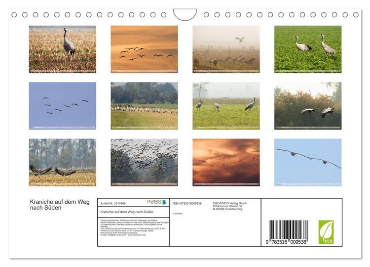 Produktbild: Kraniche auf dem Weg nach S&uuml;den (Wandkalender 2026 DIN A4 quer), CALVENDO Monatskalender