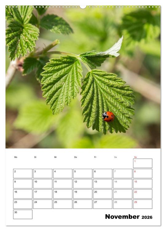 Produktbild: Farben der Natur (Wandkalender 2026 DIN A2 hoch), CALVENDO Monatskalender