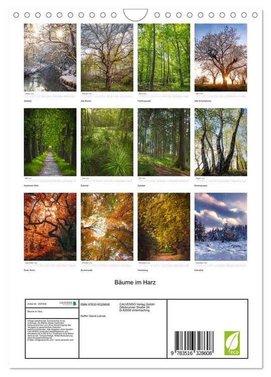 Produktbild: B&auml;ume im Harz (Wandkalender 2026 DIN A4 hoch), CALVENDO Monatskalender