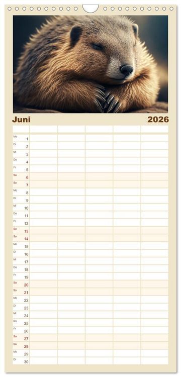 Produktbild: Familienplaner 2026 - Traumhafte Ruhe - Ein Jahr mit s&uuml;&szlig;en Schlafm&uuml;tzen mit 5 Spalten (Wandkalender, 21 x 45 cm) CALVENDO