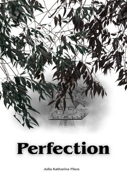 Produktbild: Perfectioner / Perfection