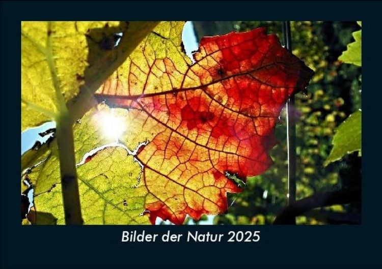 Produktbild: Bilder der Natur 2025 Fotokalender DIN A5