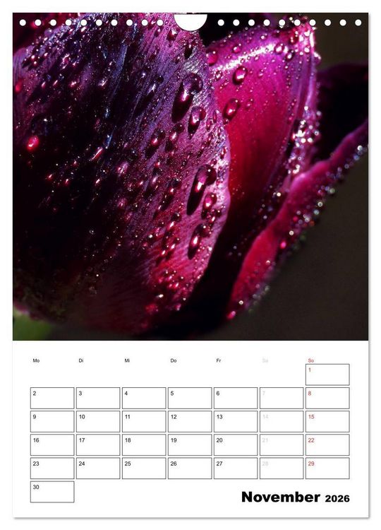 Produktbild: Zauberhafte Bl&uuml;tenwelt / Planer (Wandkalender 2026 DIN A4 hoch), CALVENDO Monatskalender