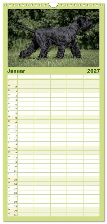 Produktbild: Familienplaner 2027 - Schnauzer... von Zwergen und Riesen 2027 mit 5 Spalten (Wandkalender, 21 x 45 cm) CALVENDO