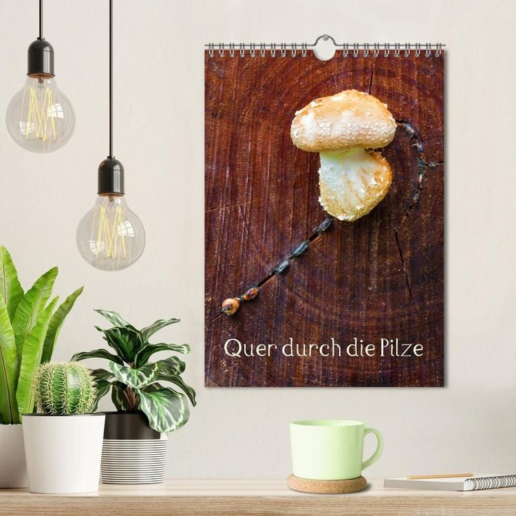 Produktbild: Quer durch die Pilze (Wandkalender 2027 DIN A4 hoch), CALVENDO Monatskalender