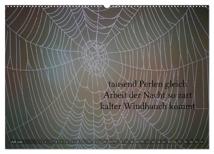 Produktbild: Haiku - Gedichte in 17 Silben (Wandkalender 2026 DIN A2 quer), CALVENDO Monatskalender