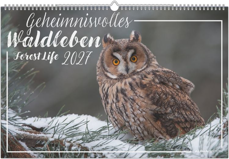 Produktbild: Geheimnisvolles Waldleben 2027