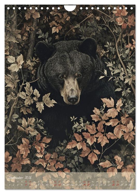 Produktbild: Teddyliebe B&auml;ren wie ich sie mag (Wandkalender 2026 DIN A4 hoch), CALVENDO Monatskalender