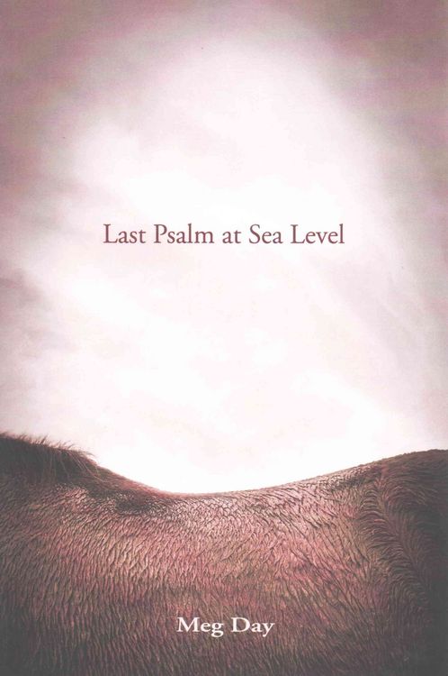 Produktbild: Last Psalm At Sea Level