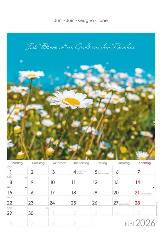 Auszeit für die Seele 2026 - Bildkalender 23,7x34 cm - Kalender mit Platz für Notizen - mit vielen Zusatzinformationen - Wandkalender - Alpha Edition