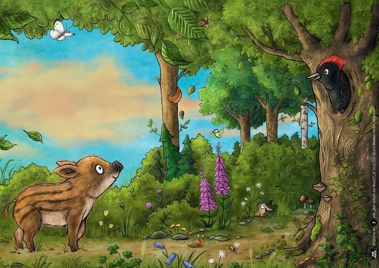 Produktbild: Wie schl&auml;ft der Wald? Kamishibai Bildkartenset