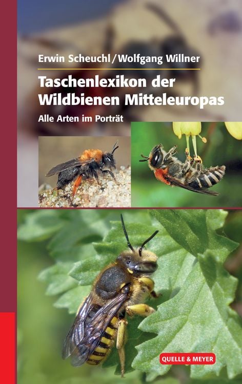 Produktbild: Taschenlexikon der Wildbienen Mitteleuropas
