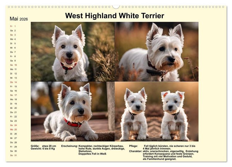 Produktbild: Terrier-Rassen im Portrait (hochwertiger Premium Wandkalender 2026 DIN A2 quer), Kunstdruck in Hochglanz