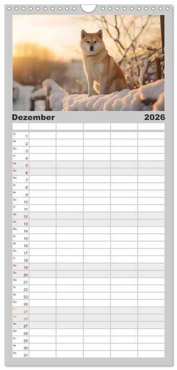 Produktbild: Familienplaner 2026 - Shiba Inu - Stolz und Anmut mit 5 Spalten (Wandkalender, 21 x 45 cm) CALVENDO