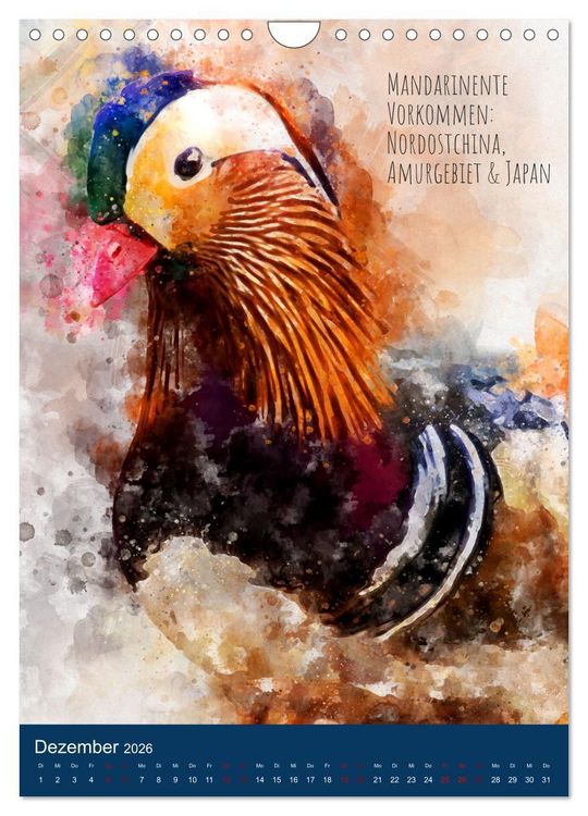 Produktbild: Exotische V&ouml;gel - Die Sch&ouml;nsten der Welt in Aquarell (Wandkalender 2026 DIN A4 hoch), CALVENDO Monatskalender