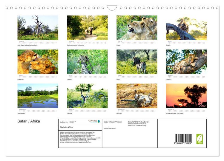 Produktbild: Safari / Afrika (Wandkalender 2026 DIN A3 quer), CALVENDO Monatskalender