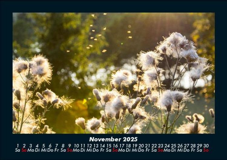 Produktbild: Bilder aus der Natur 2025 Fotokalender DIN A5