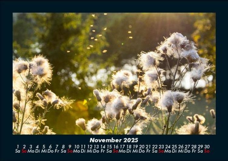Produktbild: Bilder aus der Natur 2025 Fotokalender DIN A5