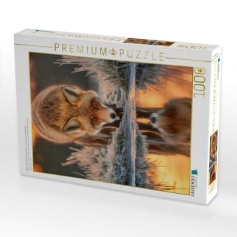 Produktbild: CALVENDO Puzzle Wenn selbst der Frost inneh&auml;lt, um den Fuchs zu beobachten | 1000 Teile Lege-Gr&ouml;&szlig;e 64x48cm Foto-Puzzle f&uuml;r gl&uuml;ckliche Stunden