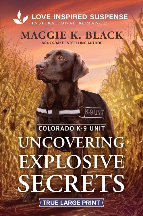 Produktbild: Uncovering Explosive Secrets